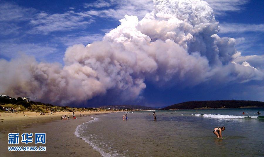 Smoke billows from fires near the beach in Colton, Australia. (Xinhua/Reuter)