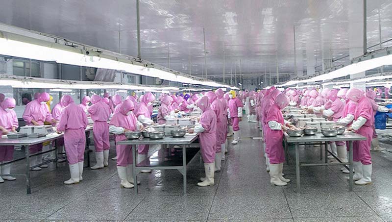 The processing factory of Doyoo Group in Hebi city, Henan province, which been cleared of wrongdoing by local food safety officials, Jan 17, 2013. (Photo/Xinhua)