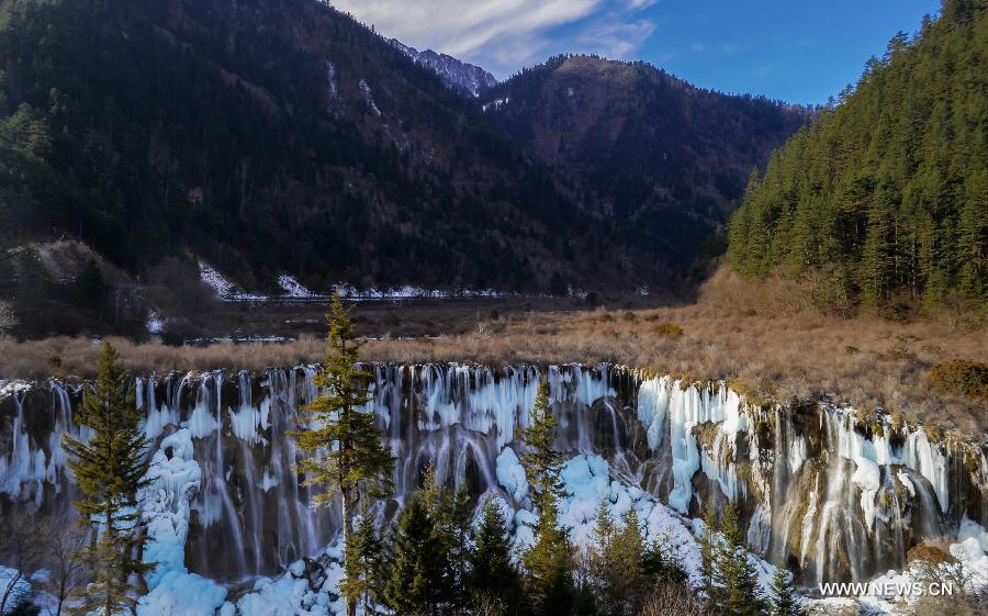 Photo taken on Jan. 19, 2013 shows icefall scenery in Jiuzhai Valley in Jiuzhaigou County, southwest China's Sichuan Province. (Xinhua/Jiang Hongjing) 
