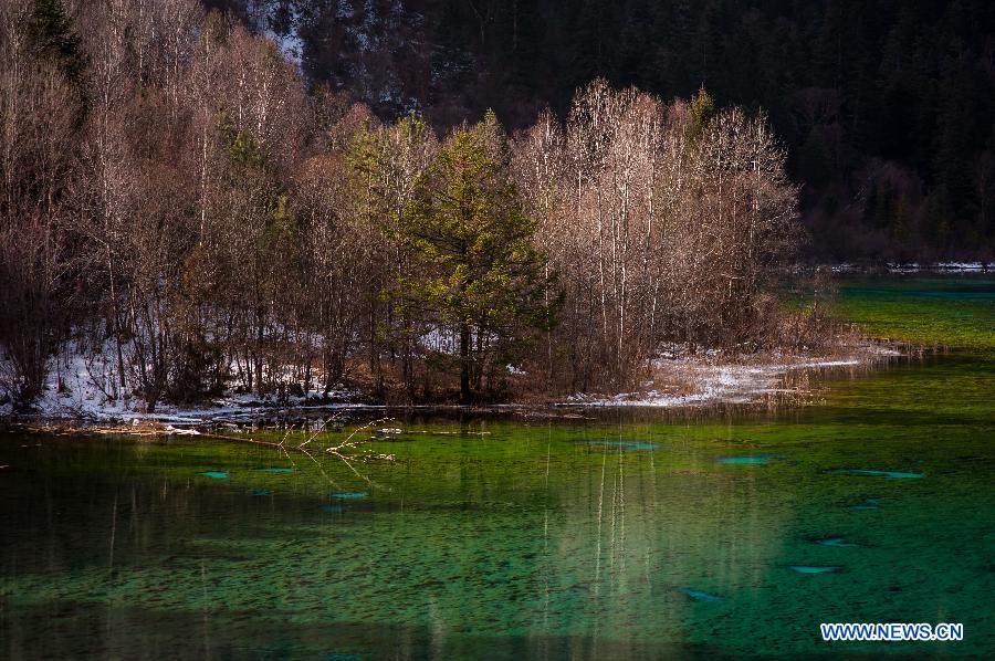 Photo taken on Jan. 19, 2013 shows the Five-Flower Lake at the Jiuzhaigou Valley in Jiuzhaigou County, southwest China's Sichuan Province. (Xinhua/Jiang Hongjing) 