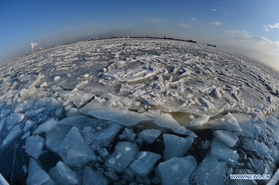 Photo taken on Jan. 24, 2013 shows the sea covered by floating ice near Qinhuangdao, north China's Hebei Province. The floating ice in Bohai Sea has expanded due to the cold snap. (Xinhua/Yang Shiyao)