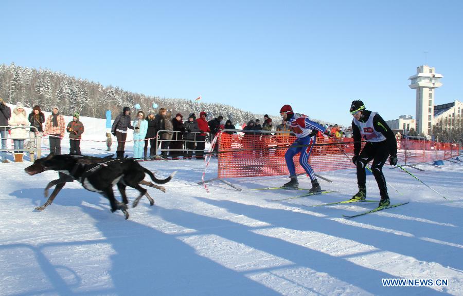 Participants compete during the third International dog sled race held at the suburbs of Minsk, Belarus, Jan. 27, 2013. About 150 participants from Belarus and neighboring Russia, Latvia and Lithuania took part in the competition. (Xinhua/Geng Ruibin)