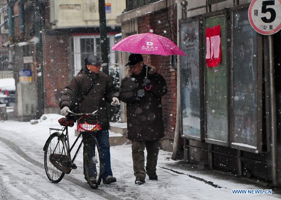 Two citizens talk in the snow on a street in Tianjin, north China, Feb. 3, 2013. A new round of cold snap has brought rain and snow to most parts of China. (Xinhua/Zhang Chaoqun)