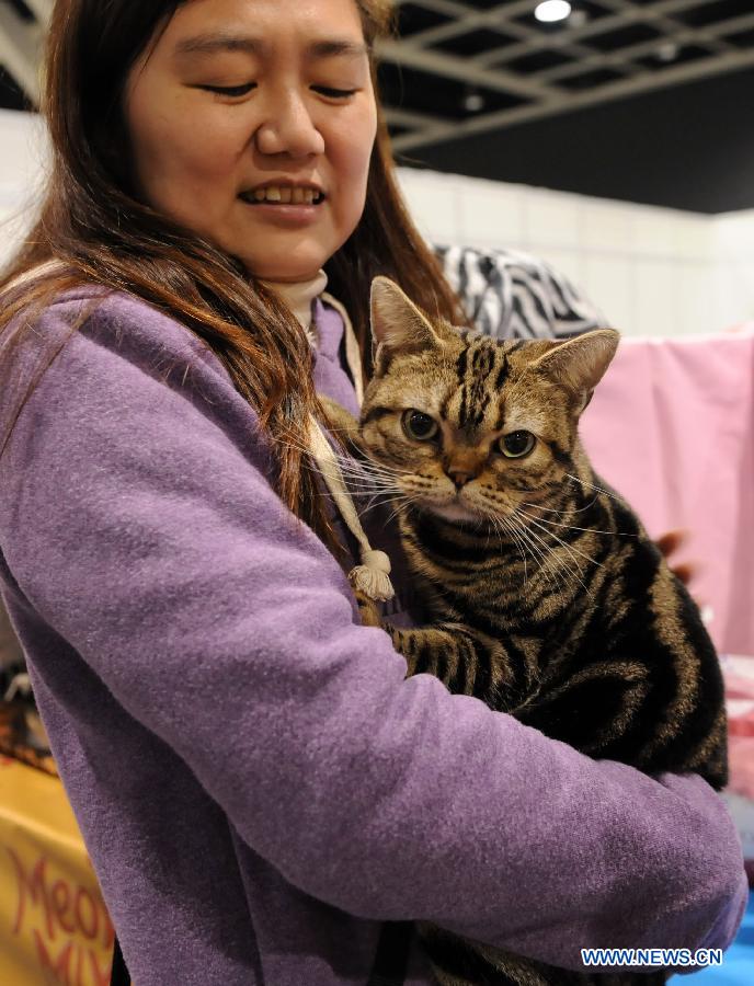 A woman poses with her cat on an exhibition in Hong Kong, south China, Feb. 2, 2013. The 2013 Spring Championship Cat Show was held at Hong Kong Convention and Exhibition Center here on Saturday. More than one hundred cats from different kind such as "British Shorthair", "Scottish Fold" and "Maine Coon" showed up on the exhibition. (Xinhua/Zhao Yusi)
