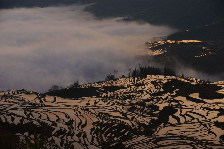 The beautiful landscape of the terrace bathed in sunrise in Yuanyang county of Yunan province on Jan. 31, 2013. (Xinhua/Qin Qing)