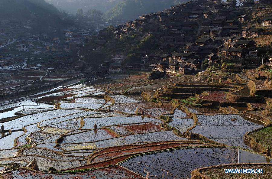 Photo taken on Feb. 3, 2013 shows the scenery of terraced fields in Kaili City of Qiandongnan Miao and Dong Autonomous Prefecture, southwest China's Guizhou Province. (Xinhua/Lai Xinlin) 