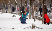 Tourists wonder by West Lake after snowfall