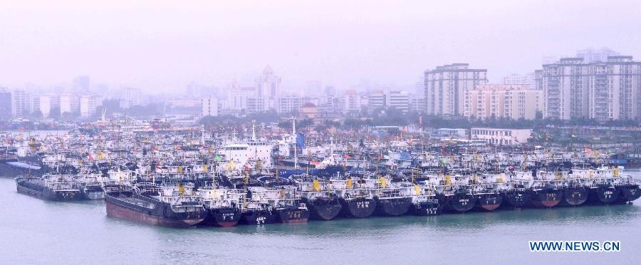 Cargo ships and fish boats stop at an anchorage in Haikou, capital of south China's Hainan Province, Feb. 9, 2013. Fishermen and ship crew all went ashore and rushed back home to spend the Spring Festival with family members. (Xinhua/Zhao Yingquan) 