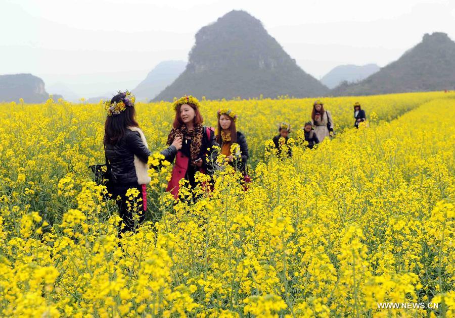 Tourists enjoy cole flowers in the field in Luoping County of Qujing City, southwest China's Yunnan Province, Feb. 21, 2013. (Xinhua/Yang Zongyou) 