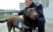 Police dog on duty for first time in Chengdu
