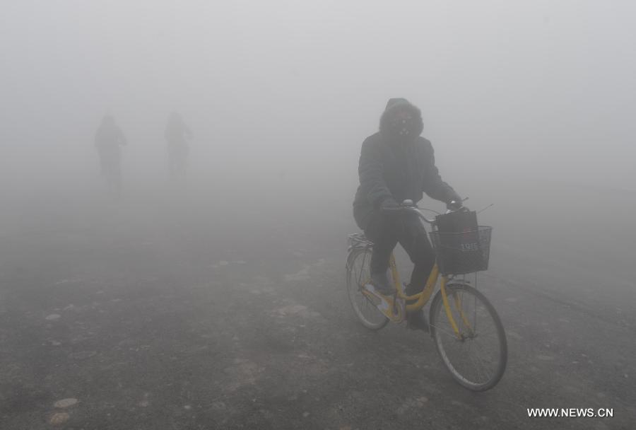 A citizen rides a bicycle amid heavy fog in Pingxian County, north China's Hebei Province, Feb. 22, 2013. Some parts of Hebei Province were hit by fog and smog on Feb. 22 morning and the provincial meteorological bureau has issued a red alert. (Xinhua/Wang Xiao)  