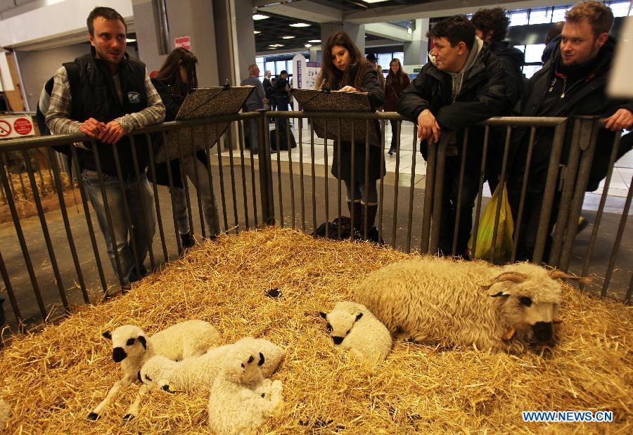 People visit the 50th Paris International Agricultural fair at the Porte de Versailles exhibition center in Paris, France, Feb. 25, 2013. The annual fair with the participation of more than 1000 exhibitors from 22 countries and regions, runs till March 3, 2013. (Xinhua/Gao Jing) 