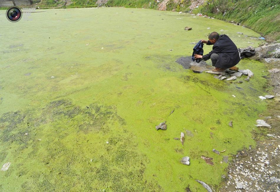A man washes clothes in a polluted pond in Xiangfan. (File Photo)