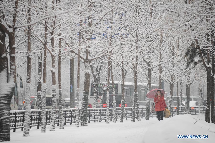 A pedestrian walks in snow in Shenyang, capital of northeast China's Liaoning Province, Feb. 28, 2013. Liaoning was hit by a snowstorm on Thursday. (Xinhua/Pan Yulong) 