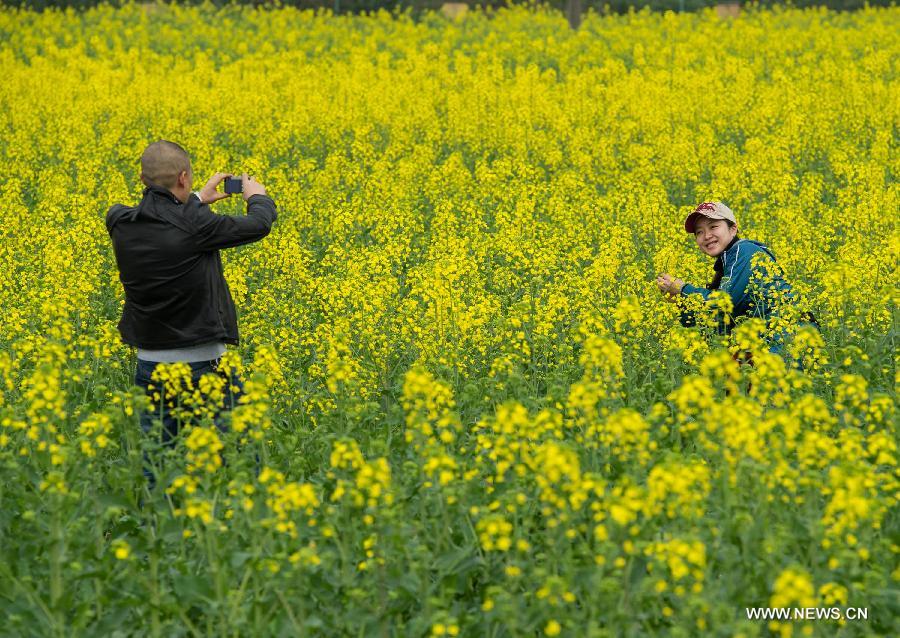 Tourists watch the rape flowers by boats during the 6th rape flower festival in Tongnan County, southwest China's Chongqing Municipality, March 1, 2013. The festival will last until late March. (Xinhua/Chen Cheng)