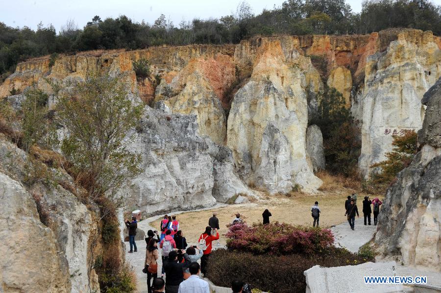 Tourists visit the Shalin scenic area in Luliang County, southwest China's Yunnan Province, March 4, 2013. With various geological wonders, Shalin scenic area has long been a tourist attraction. (Xinhua/Chen Haining) 
