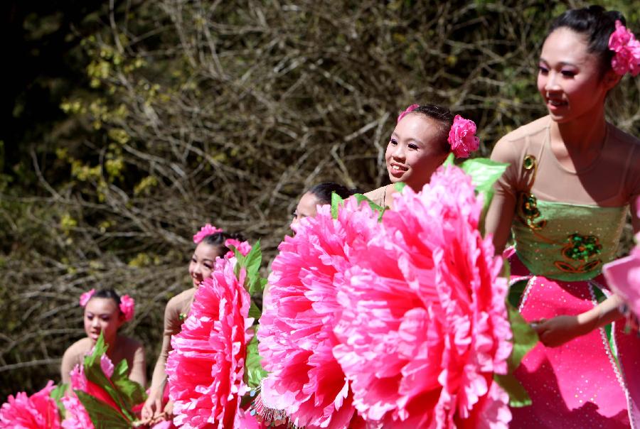 Dancers perform on the opening of a peony cultural festival in Nantou of southeast China's Taiwan, March 9, 2013. A peony cultural festival was opened at the Sun Link Sea forest park on March 9. Over 8,000 peonies of some 50 species from central China's Henan Province will be exhibited on an attached show till the end of May. (Xinhua/Xie Xiudong)