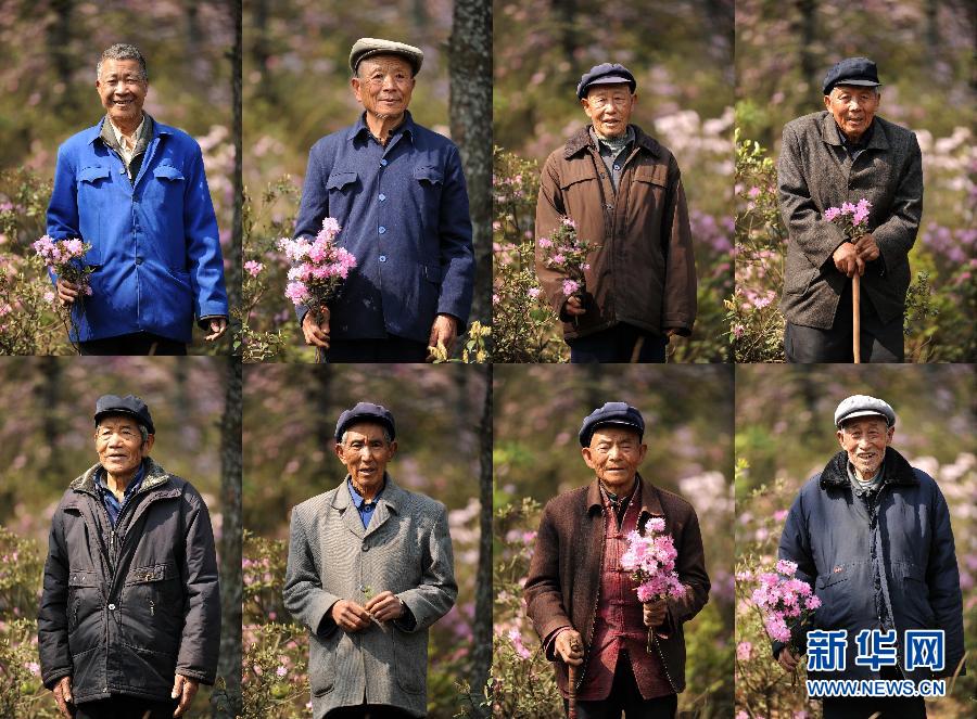 A combo photo shows eight old farmers who were dedicated to planting trees over the past three decades on barren hills 2,000 meters above sea level in southwest China's Yunan province. (Photo/Xinhua)