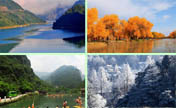 Top 12 picturesque destinations of forest