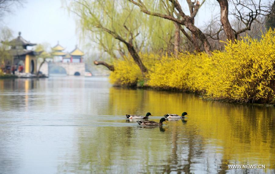 Photo taken on March 12, 2013 shows the scenery of the Slender West Lake in Yangzhou, east China's Jiangsu Province. (Xinhua/Meng Delong) 