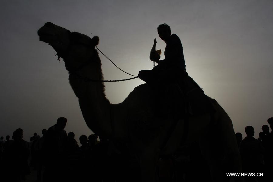 Palestinian jockeys take part in a traditional camel race during Rafah Camel Festival, held in the southern Gaza Strip city of Rafah on March 15, 2013. (Xinhua/Khaled Omar) 