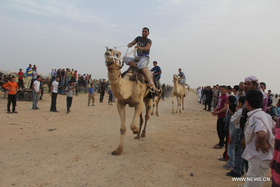 Palestinian jockeys take part in a traditional camel race during Rafah Camel Festival, held in the southern Gaza Strip city of Rafah on March 15, 2013. (Xinhua/Khaled Omar) 