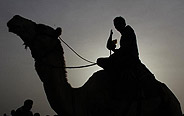 Rafah Camel Festival marked in Gaza
