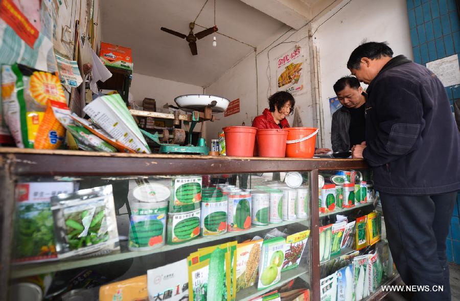 Farmers purchase seeds and agricultural chemicals in a shop in Yuanjiang City of central China's Hunan Province, March 17, 2013. The preparation work of spring plowing began as temperature went up here in recent days. (Xinhua/Bai Yu) 
