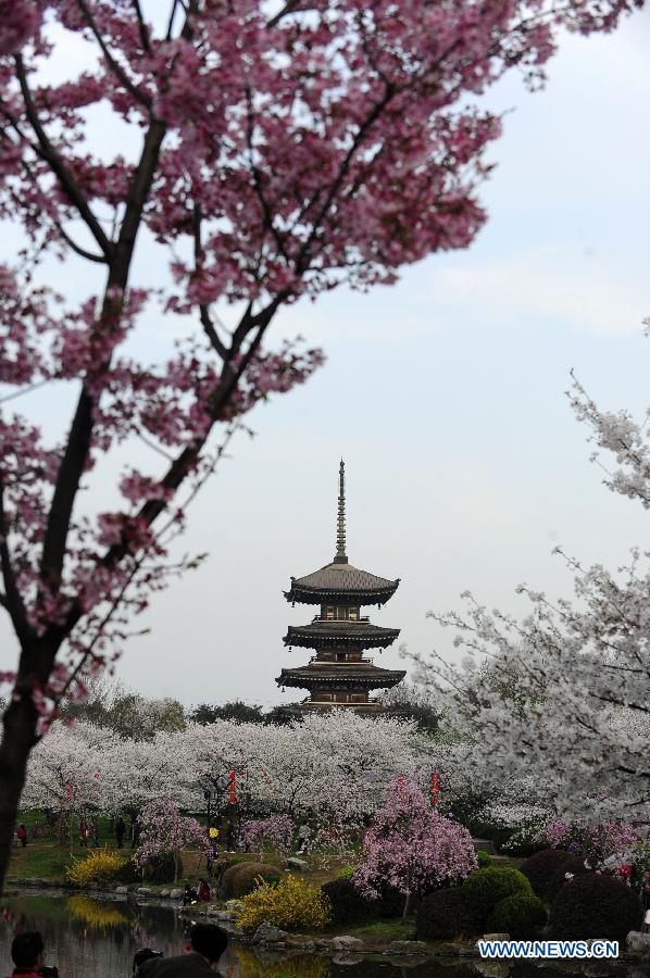 A pagoda is seen amid cherry blossoms at the Moshan scenic spot in Wuhan, capital of central China's Hubei Province, March 18, 2013. As weather warms up, cherry blossoms in Wuhan are in full bloom. (Xinhua/Hao Tongqian)