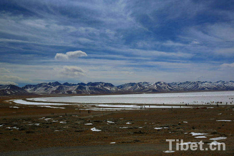 The frozenof Namtso Lake in winter. Regarded as a holy lake, the Namtso Lake is the largest saltwater lake in Tibet and the second largest across China. At an elevation of 4,718 meters, it is a must-visit place for tourists from home and abroad. [Photo/China Tibet Online]