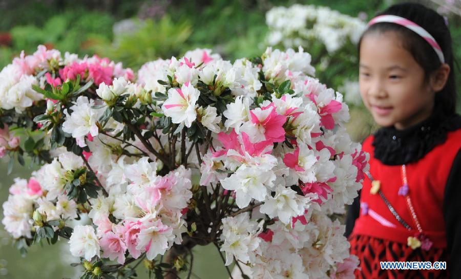 A child views azalea flowers at the first Fuzhou Azalea Cultural Festival in Fuzhou, capital of southeast China's Fujian Province, March 19, 2013. The festival kicked off on Tuesday, displaying over 100 species of azalea flowers. (Xinhua/Lin Shanchuan)