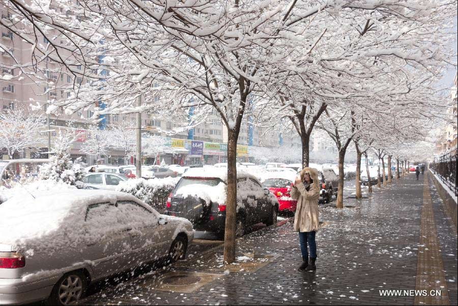 A citizen takes photos of a snow scenery with a cell phone on a road in Beijing, capital of China, March 20, 2013. Beijing witnessed a snowfall with a depth reaching 10-17 centimeters overnight. The snowfall happened to hit the city on the Chinese traditional calendar date of Chunfen, which heralds the beginning of the spring season. Chunfen, which literally means Spring Equinox or Vernal Equinox, falls on the day when the sun is exactly at the celestial latitude of zero degrees. (Xinhua/Xu Zijian)