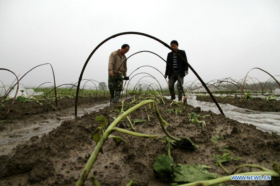 Greenhouses are destroyed by hailstorm at Shuangxi Village of Shuangxi Township in Jing'an County, east China's Jiangxi Province, March 23, 2013. Heavy rainfall and hailstorm battered the county Friday, causing severe waterlogging. In the havoc, gales and hailstorms damaged 5,700 houses, affecting more than 26,780 people.(Xinhua/Xu Zhongting)