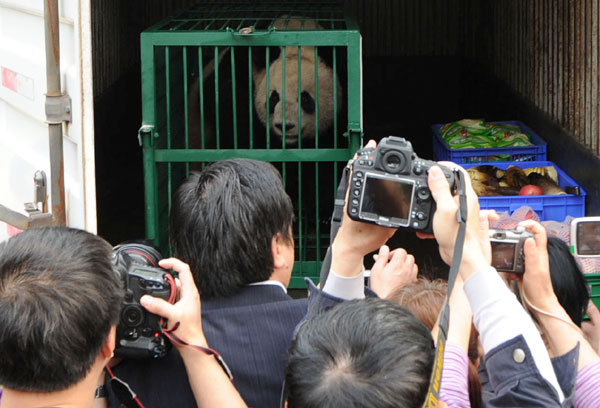 People in Chongqing say goodbye to Ershun, one of a pair of pandas that will leave China for Canada on March 25 and stay for 10 years. They will be the first pair of pandas to visit Canada since the 1980s. 