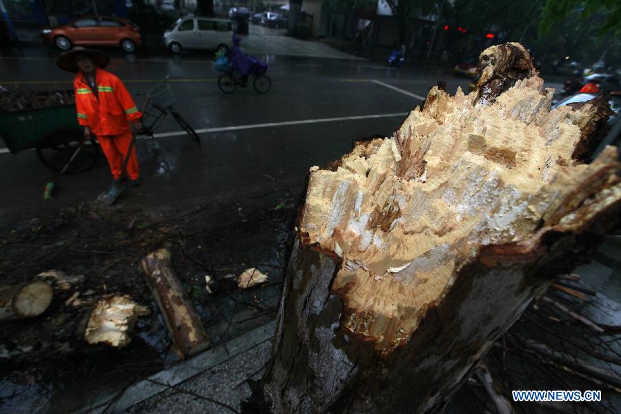 A tree is destroyed by strong wind in Liuzhou City, south China's Guangxi Zhuang Autonomous Region, March 28, 2013. Strong wind and thunder hit the city on Thursday. (Xinhua/Zhang Cunli)