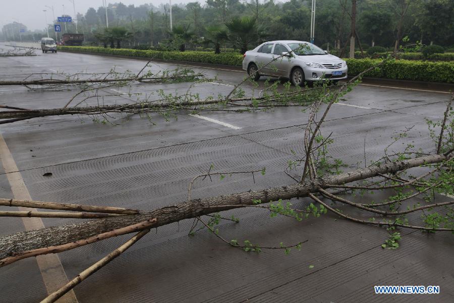 Trees are blown down by strong wind in Liuzhou City, south China's Guangxi Zhuang Autonomous Region, March 28, 2013. Strong wind and thunder hit the city on Thursday. (Xinhua/Zhang Cunli) 