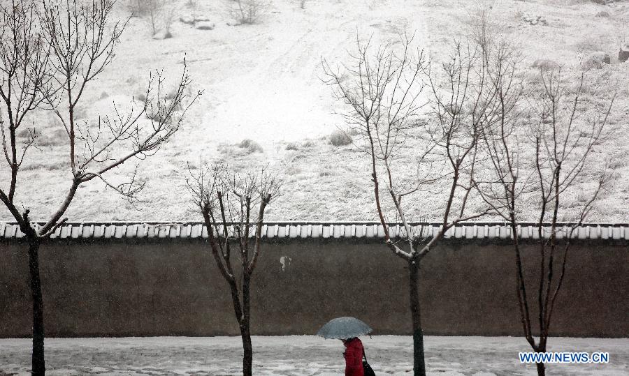 A citizen walks on a snowy road in Shenyang, capital of northeast China's Liaoning Province, April 1, 2013. The city receives snowfall in April despite the approach of spring. (Xinhua/Yao Jianfeng)