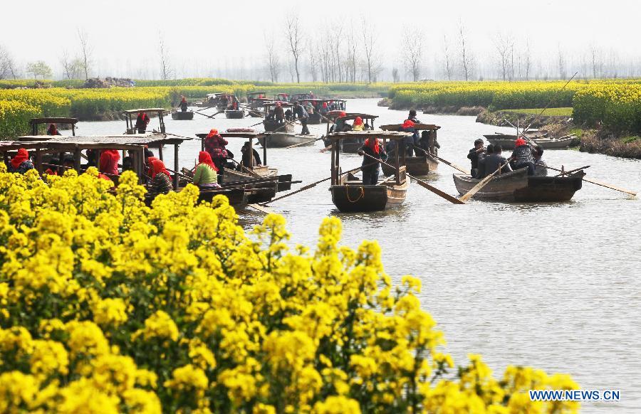 Tourists take boats to enjoy cole flowers at the Qiandao Cole Flower Scenic Spot in Ganggu Township of Xinghua City, east China's Jiangsu Province, April 3, 2013. (Xinhua/Zhou Haijun)
