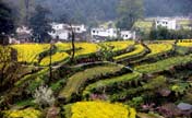 China's most beautiful countryside: Wuyuan