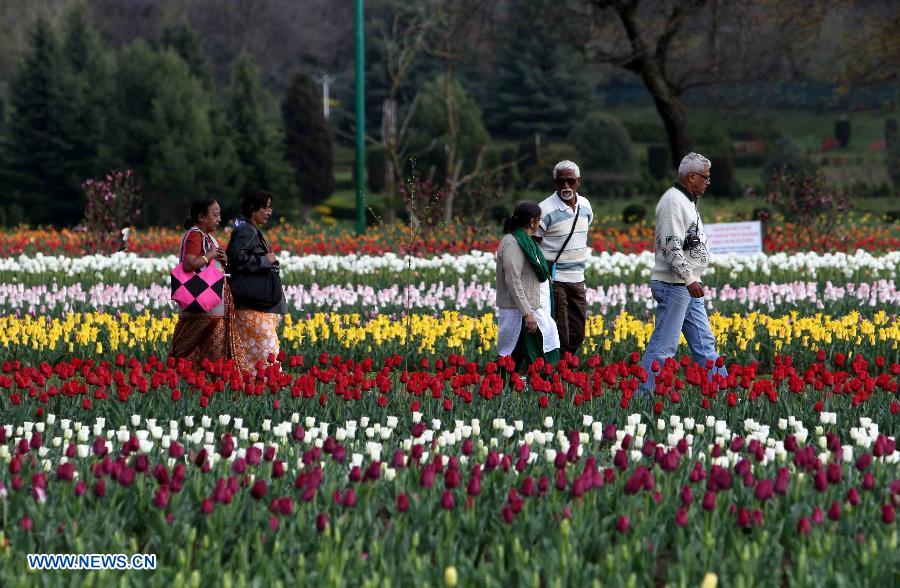 Tourists stroll along the beds of tulips in a tulip garden in Srinagar, summer capital of Indian-controlled Kashmir, April 3, 2013. The Tulip Garden in Indian-controlled Kashmir has become the prime attraction for visiting foreign and domestic tourists, officials said. (Xinhua/Javed Dar) 