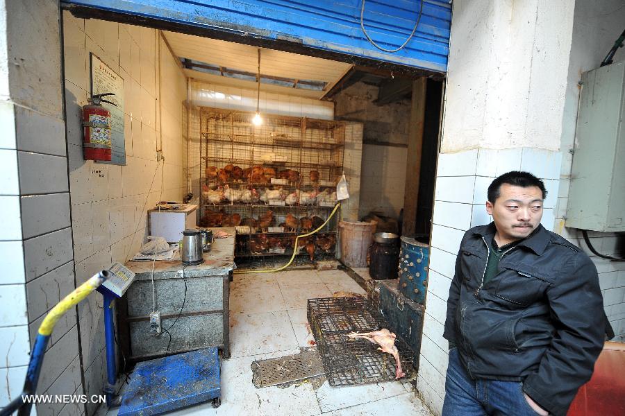 A merchant waits beside the live poultry which are to be dealt with later at his closed store in a market in Taiyuan, capital of north China's Shanxi Province, April 10, 2013. The city has suspended the live poultry trade in recent days. As of Tuesday afternoon, China had reported a total of 28 H7N9 cases in Shanghai municipality and the provinces of Jiangsu, Anhui and Zhejiang, including nine fatalities, according to the National Health and Family Planning Commission. (Xinhua/Zhan Yan)