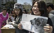 Students protest Canada's annual seal hunt
