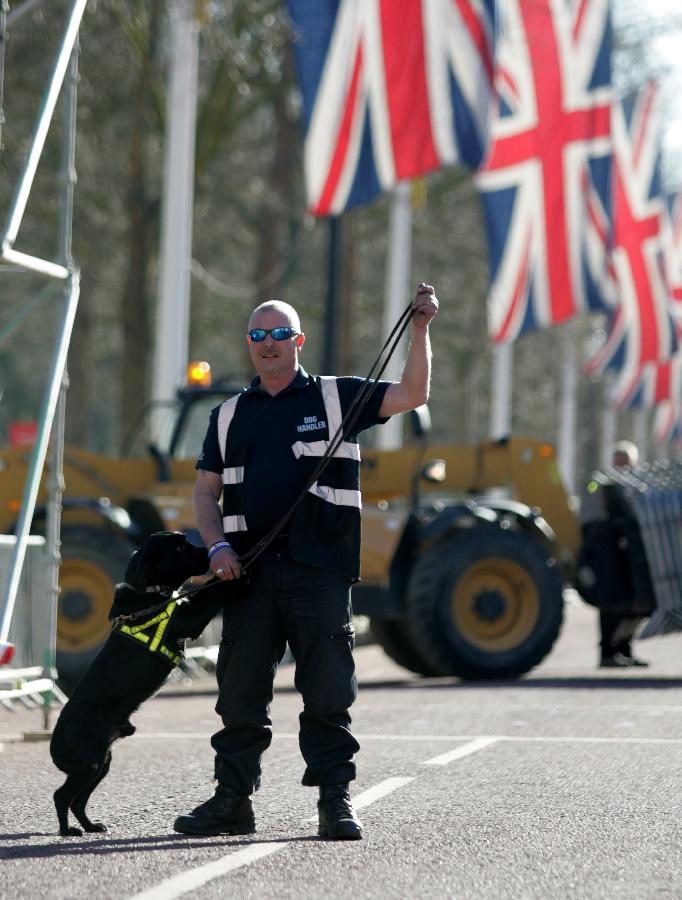 A security man works with an explosive-detecting dog at the Mall, the finishing line of the London Marathon, in London, capital of Britain, on April 20, 2013. London's Metropolitan Police have reinforced security for the competition scheduled for April 21, in the wake of the Boston Marathon bombings. (Xinhua/Gautam)