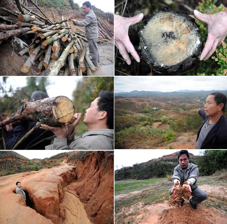 Photo shows the soil erosion and desertification phenomenon caused by denudation of trees in Wuyun County of Jiangxi province on March 22, 2013. The desertification lands are called the "scars" of the green land.