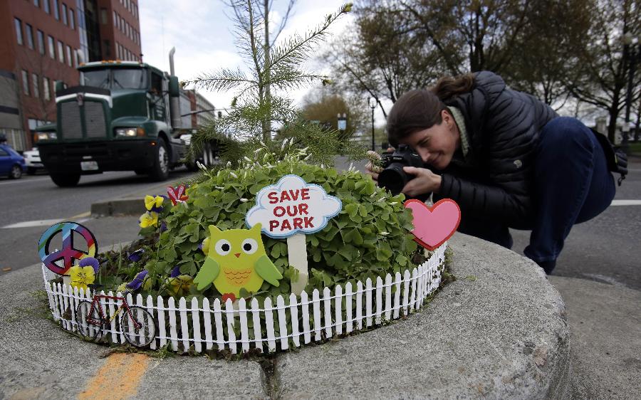 Allison Wildman crouches low to get a photo of Mill Ends Park in Portland, Ore., Thursday, April 11, 2013. Tiny battle lines are being drawn in a whimsical British-American dispute over which country has the world’s smallest park. Two feet in diameter, Portland’s Mill Ends Park holds the title of world’s smallest park in the Guinness Book of World Records. But a rival has emerged--Prince’s Park, more than 5,000 miles away in the English town of Burntwood which holds the record for smallest park in the United Kingdom.(Xinhua/AP Photo)