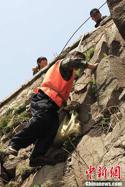 Beside the garbage on the stone steps, Zhang has to pick up those wastes on the cliff. Zhang climbs on the cliff with assistance of his colleagues. (Photo by Li Xianglei/ Chinanews.com)