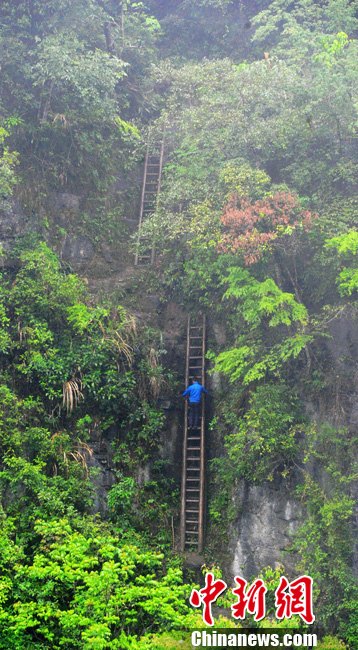 Zhangjiawan village is located on a remote mountain called “The Gate of Heaven” in central China's Hunan province, accessible only by ladders. The town was built hundreds of years ago to avoid bandits. Children here literally climb mountains to get to school. (Source: chinenews.com)