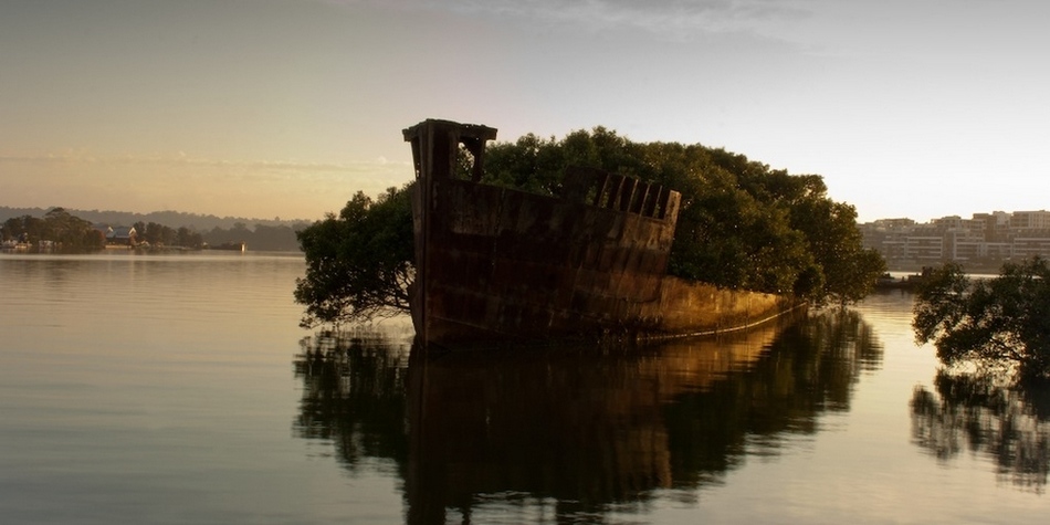 SS Ayrfield ship wreck in Homebush Bay, Australia.(Photo/huanqiu.com) 