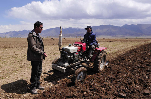 Guan Weixing (left) learns more about highland barley agriculture in the Qiang Ga township, Lhunzhub county, Lhasa in Southwest China's Tibet autonomous region, on May 7, 2013. Guan, a 42-year-old researcher, from the Tibet Academy of Agricultural and Animal Husbandry Sciences, has been engaged in barley farming and expanding new varieties of it for 18 years. He was granted the Tibet autonomous region Science and Technology Progress award for promoting "Tibet highland barley No 690" - a new variety of highland barley. [Photo/Xinhua]