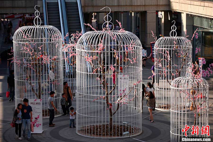 Residents walk through giant birdcages at a square in Nanjing, the capital city of east China's Jiangsu Province on Sunday, May 12, 2013. Six giant birdcages with artificial trees, flowers and birds inside were displayed in order to promote nature, environmental protection and a green lifestyle. [Photo: Chinanews.com]